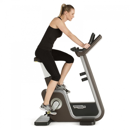 Technogym泰诺健 ARTISBIKE健身车