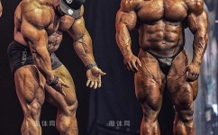 肱三头肌锻炼的方法有哪些 这样锻炼效果更加